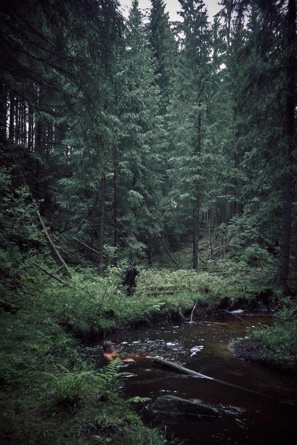 쇼넥 Blickinsfreie - Cabin 빌라 외부 사진